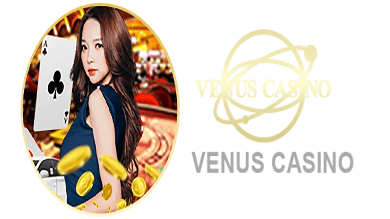 6bb bet Informações básicas sobre o saguão do cassino Venus